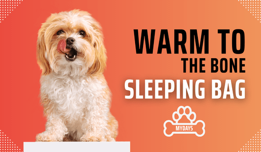 The Ultimate Christmas Gift: A "Warm-to-the-Bone" Heated Dog Sleeping Bag - Mydays