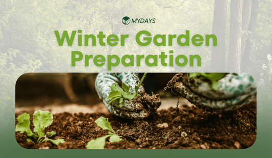 Winter Garden Preparation: Your Ultimate Guide with the Mydays Tool Tote - Mydays