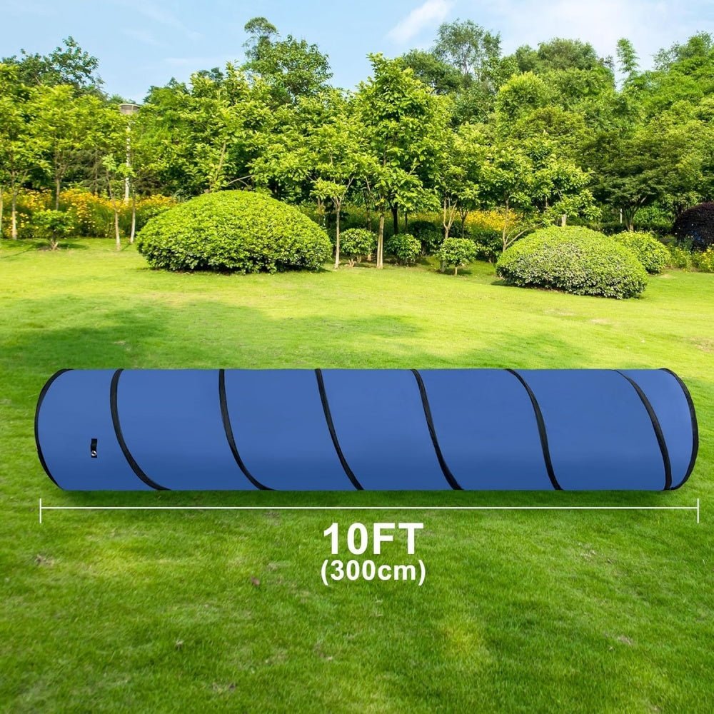 Adjustable Dog Agility Equipment - Mydays