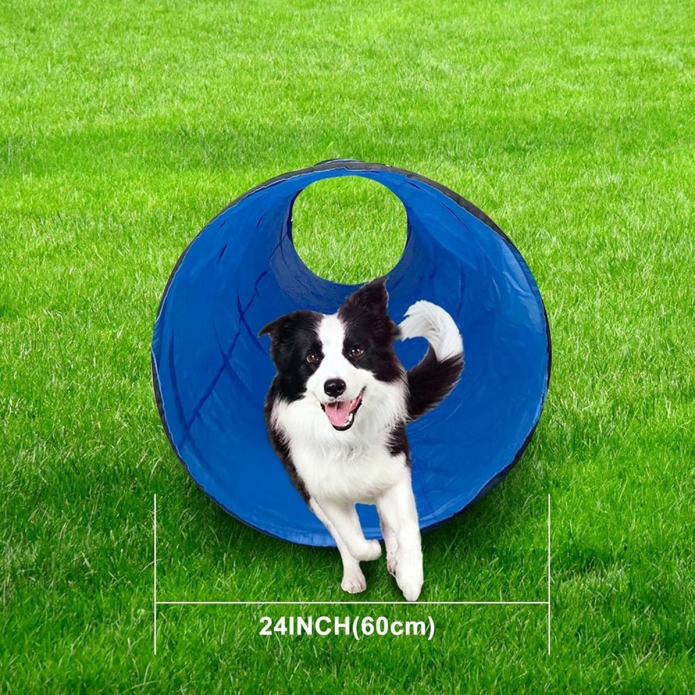 Adjustable Dog Agility Equipment - Mydays