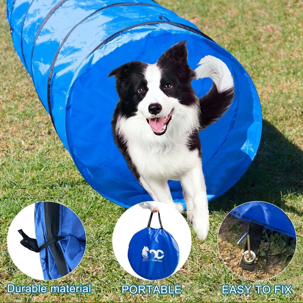 Adjustable Dog Agility Equipment - Mydays