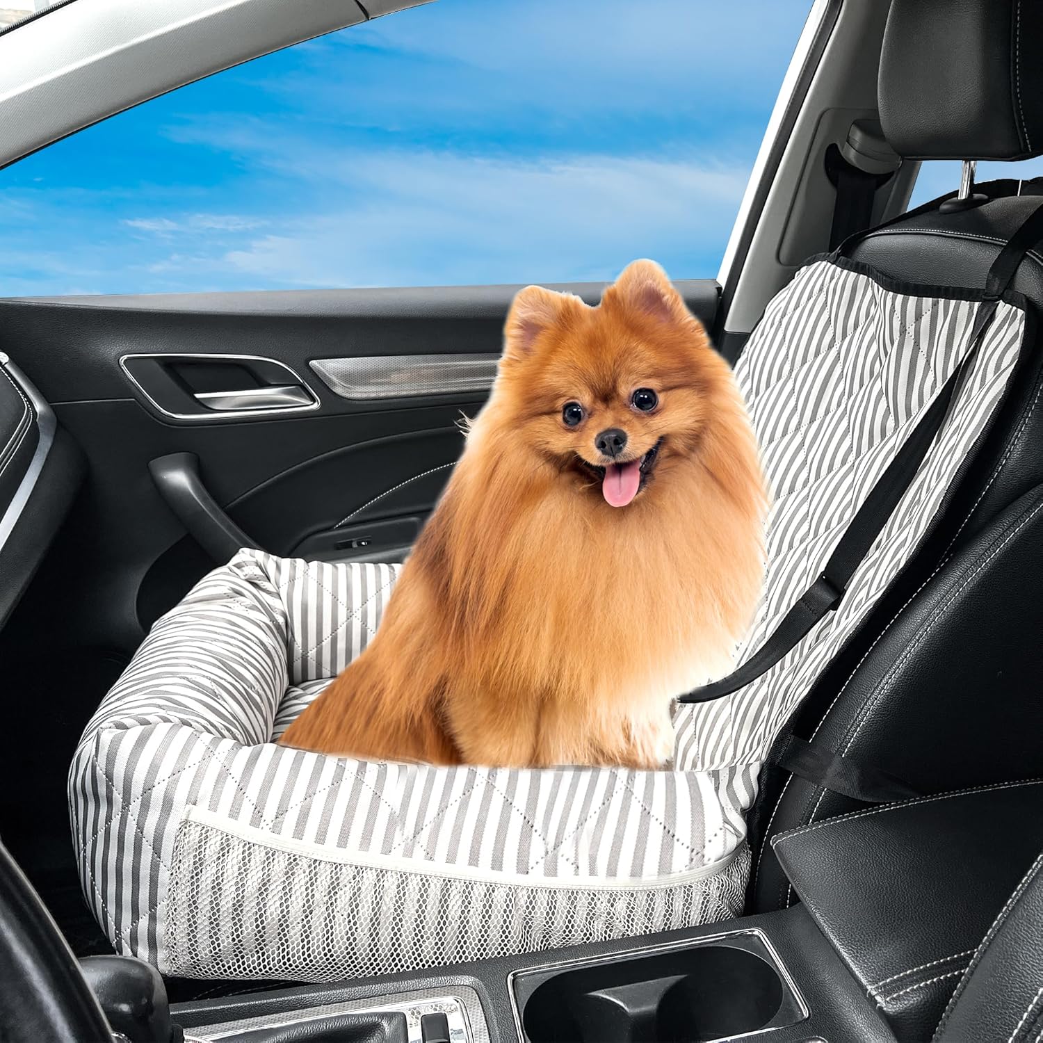 Portable Dog Car Seat - Mydays
